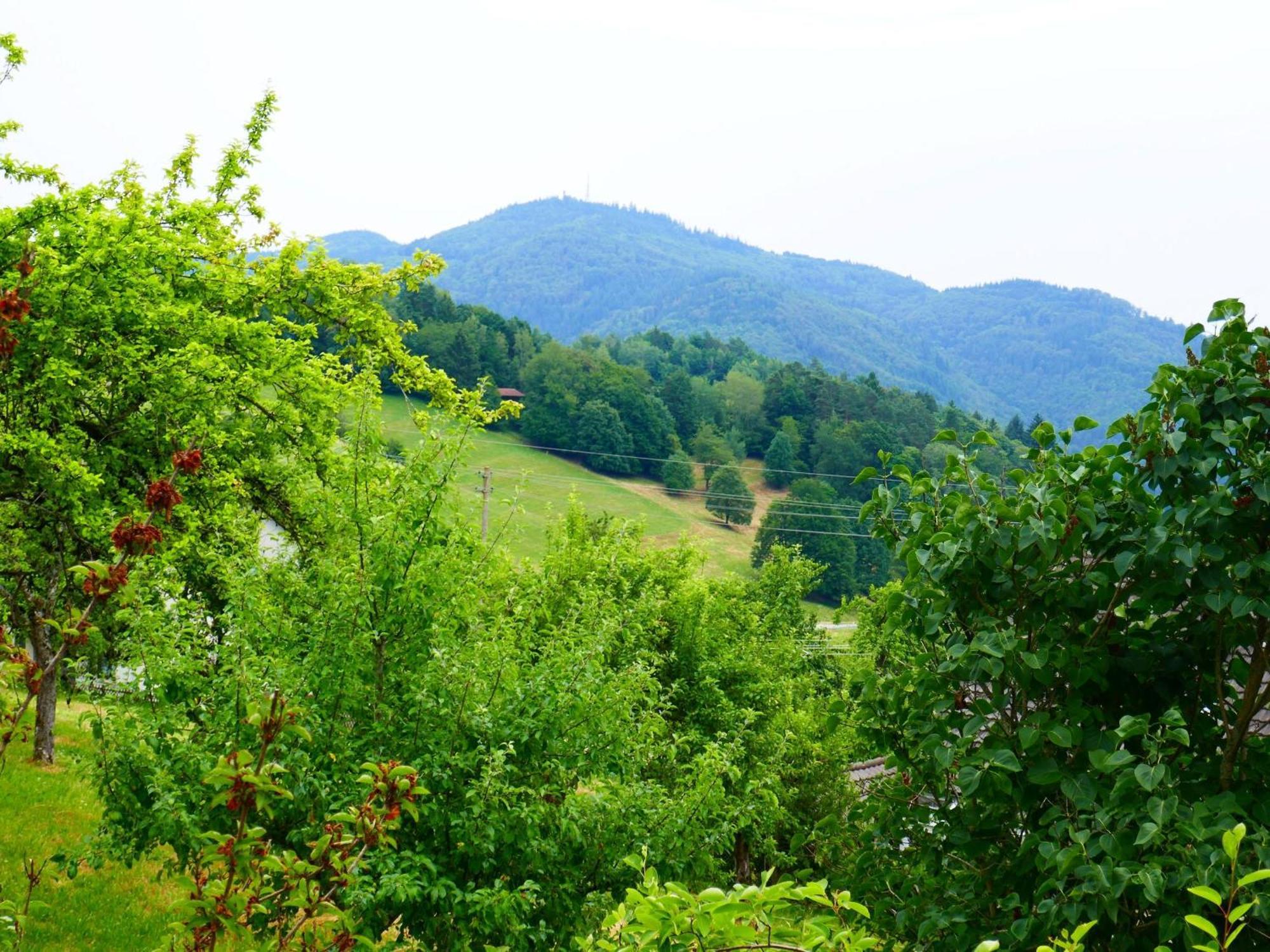 Zell im Wiesenthal Haus Landblick 아파트 외부 사진