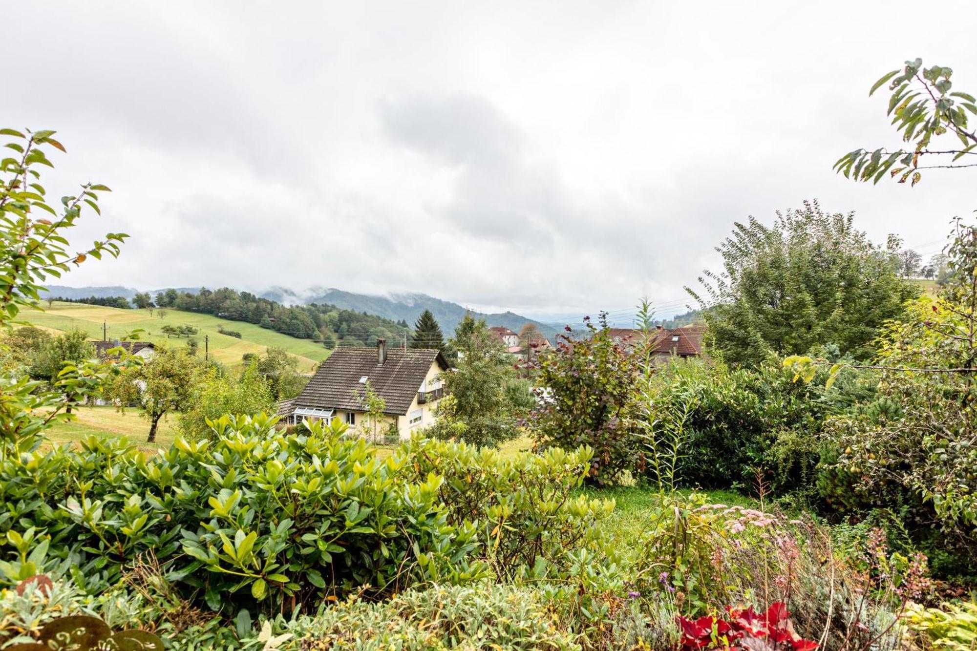 Zell im Wiesenthal Haus Landblick 아파트 외부 사진